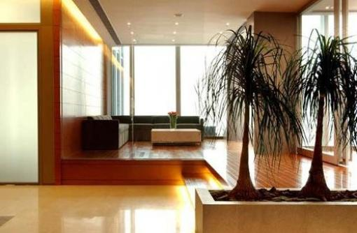 公司環(huán)境 公司環(huán)境